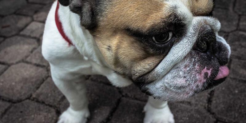 郑州金山新城买房新视角：公园绿地与生态廊道，如何重塑宜居价值？