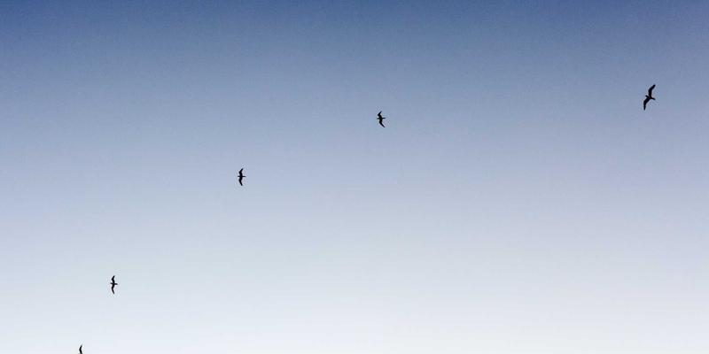 郑州金山新城城市界面焕新:天际线规划与建筑风貌管控,如何重塑区域价值与房价预期?