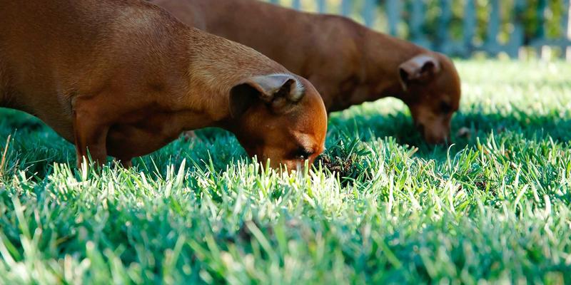 郑州金山新城社区治理新模式:智慧物业与业主共治,如何成就口碑与房价双赢?