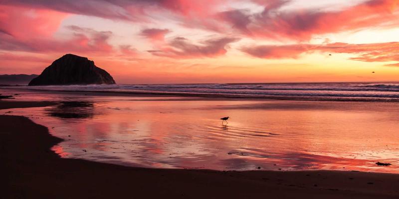 郑州金山新城社区运营模式深度解析：品牌物业与智慧服务如何重塑居住体验与资产价值