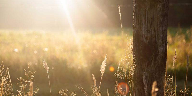 郑州金山新城租赁市场崛起:长租公寓如何重塑购房需求与租金回报率?